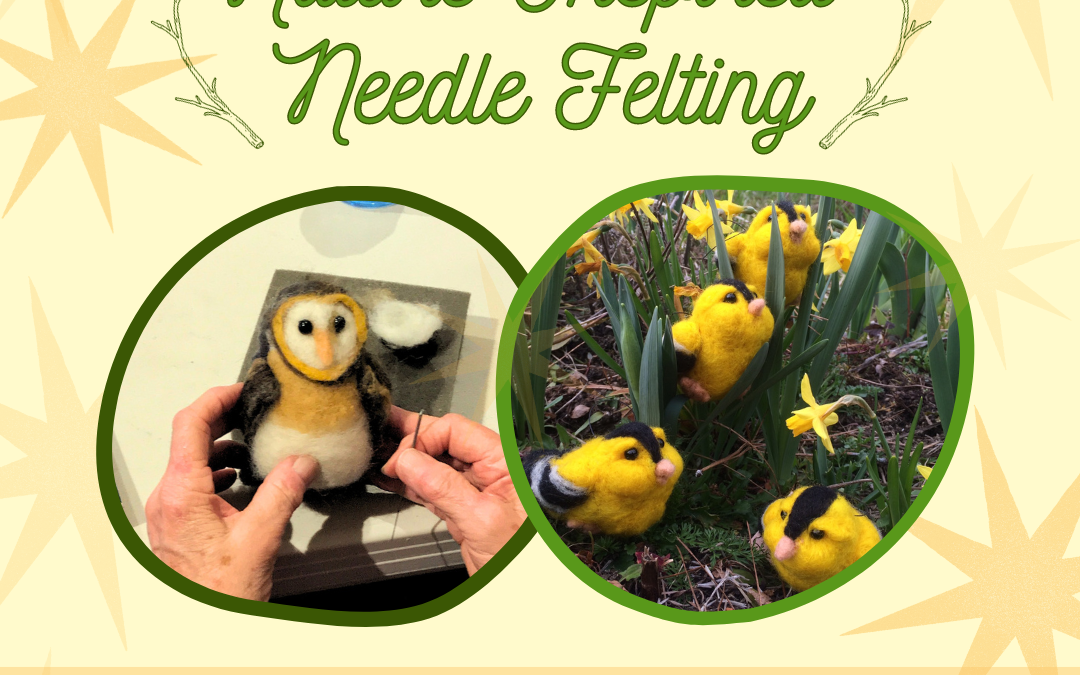 Siskiyou Field Institute Nature-Inspired Needle Felting